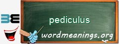 WordMeaning blackboard for pediculus